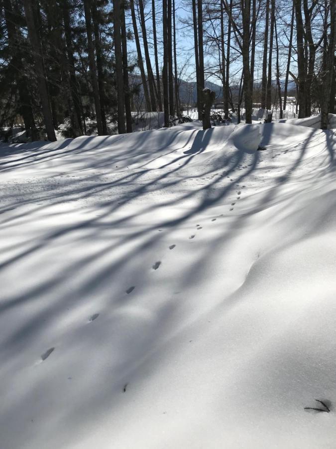 Hakuba Cottage Gram Ngoại thất bức ảnh