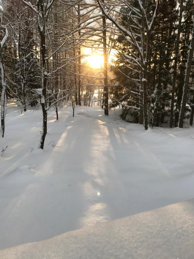 Hakuba Cottage Gram Ngoại thất bức ảnh