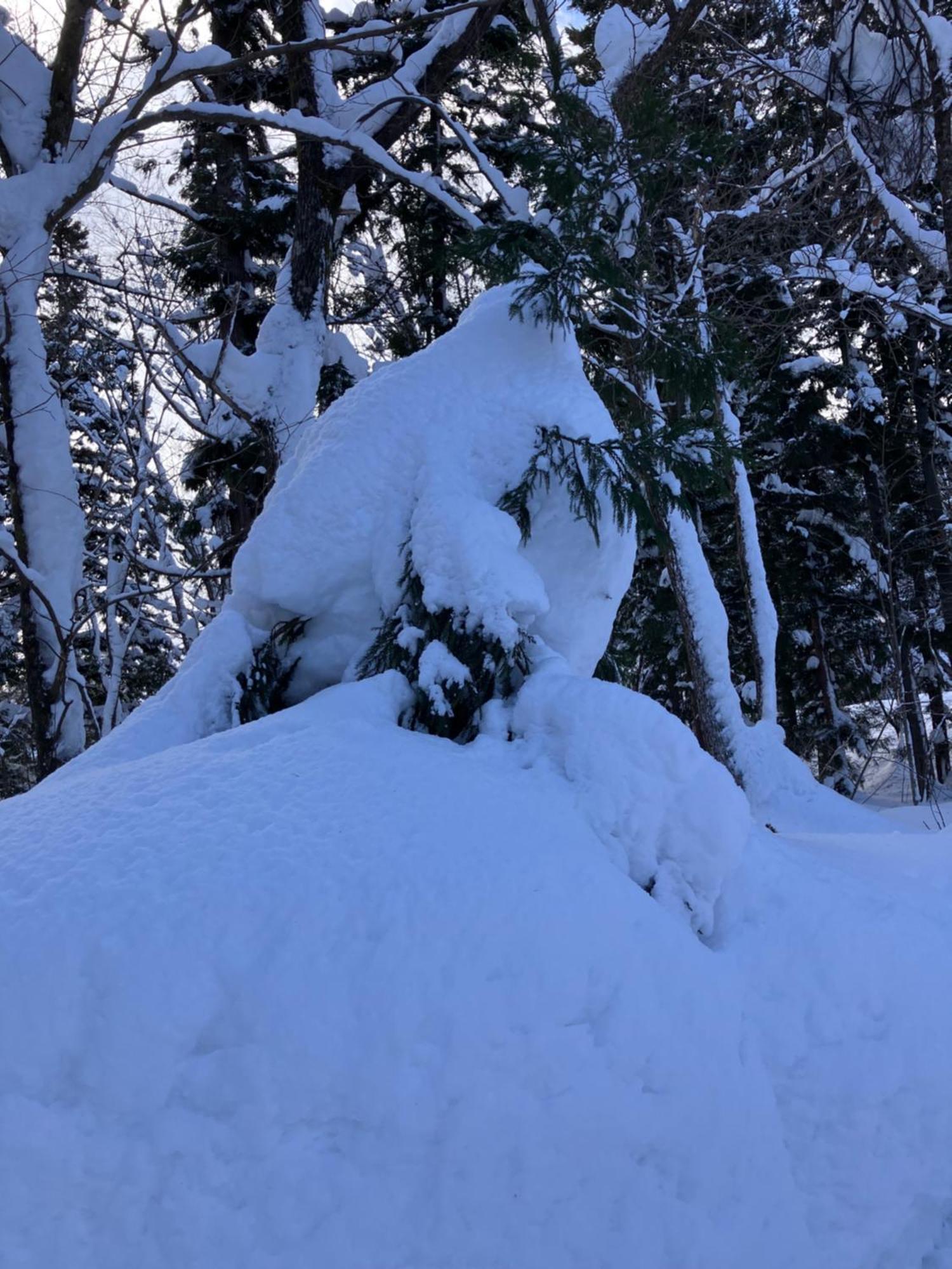 Hakuba Cottage Gram Ngoại thất bức ảnh