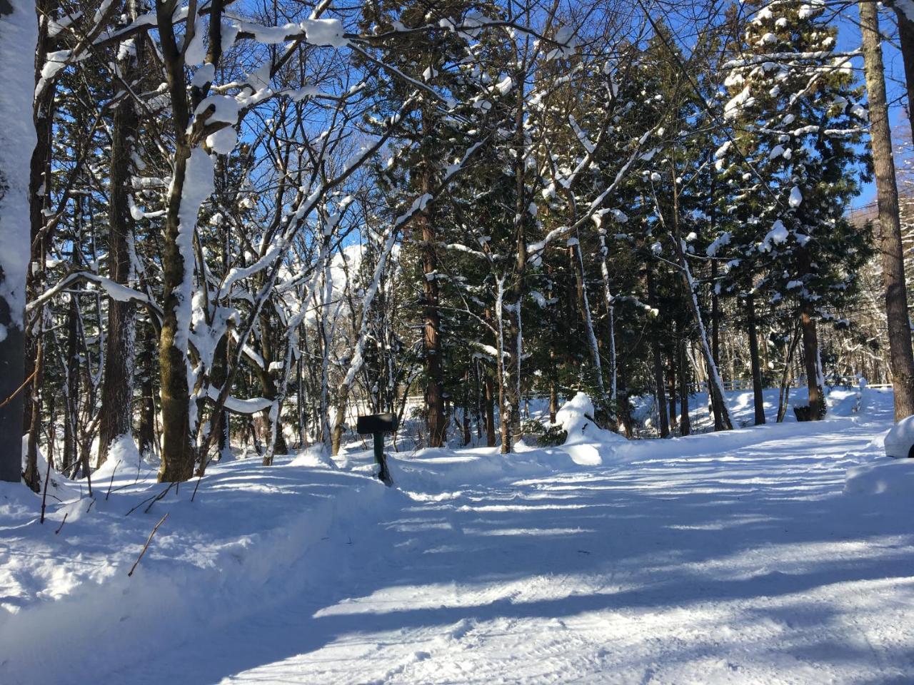 Hakuba Cottage Gram Ngoại thất bức ảnh