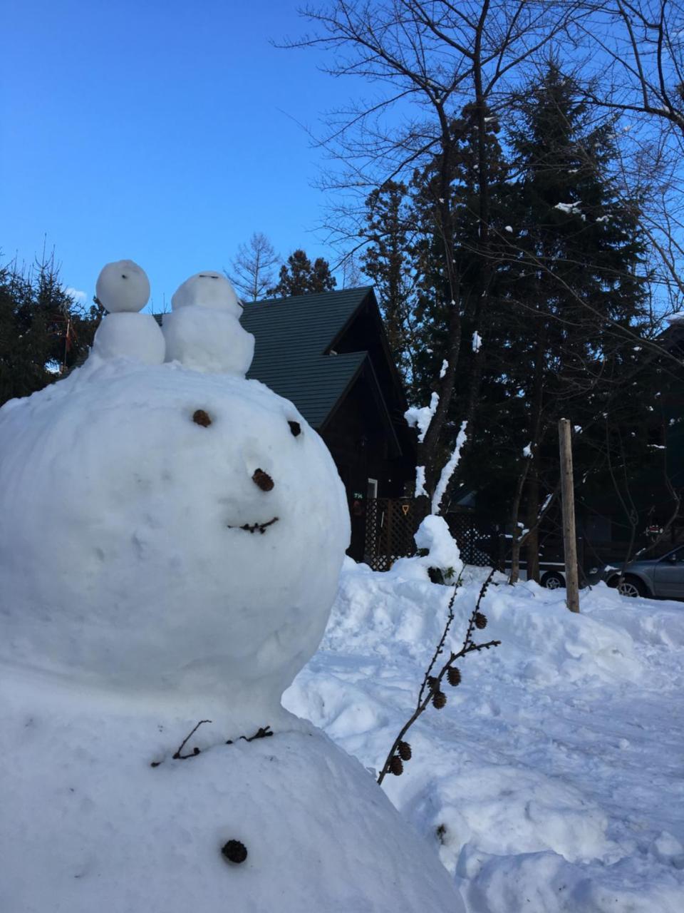 Hakuba Cottage Gram Ngoại thất bức ảnh