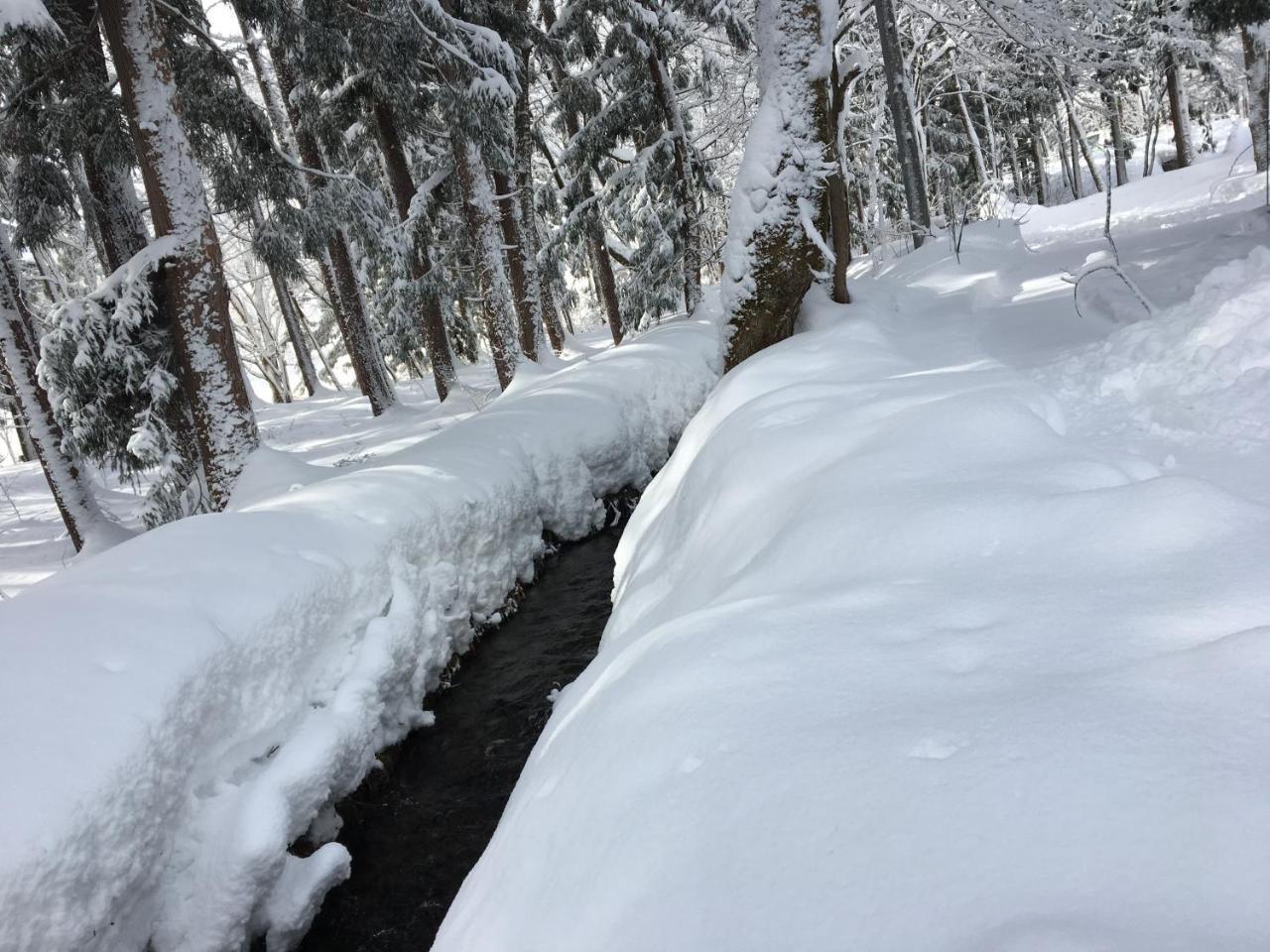 Hakuba Cottage Gram Ngoại thất bức ảnh
