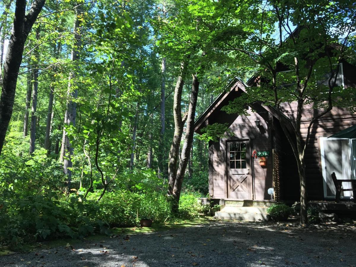 Hakuba Cottage Gram Ngoại thất bức ảnh
